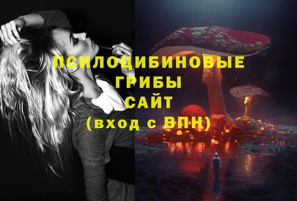 стафф Алексеевка