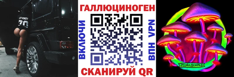 OMG tor  Заполярный  Псилоцибиновые грибы Psilocybine cubensis 